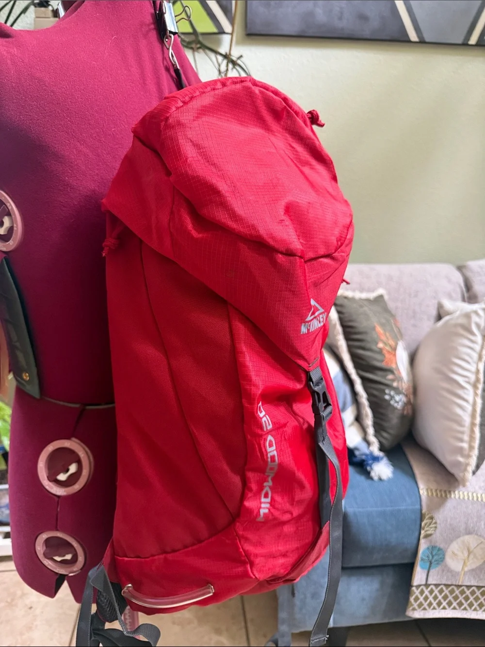 Mckinley daypack featuring